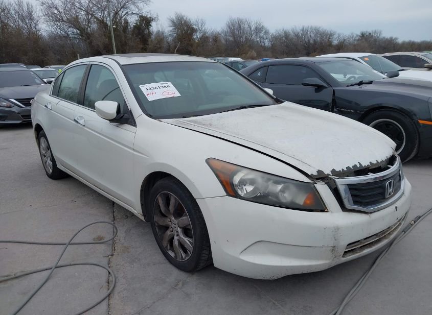 2010 HONDA ACCORD 3.5 EX-L photo