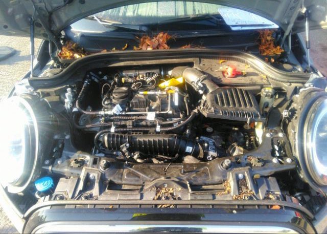 2023 MINI HARDTOP 2 DOOR(VIN: WMW33DH08P2S81525