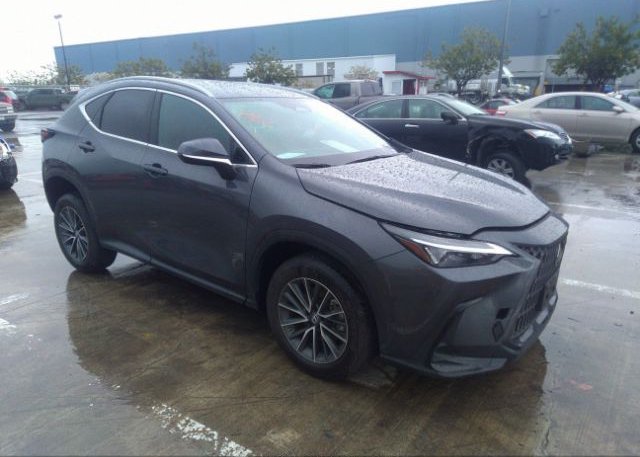 2022 LEXUS NX (VIN: 2T2ADCEZ8NC001892)