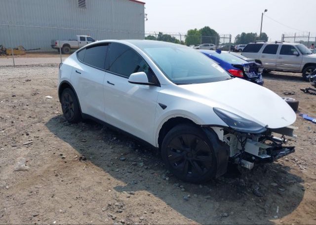 2022 TESLA MODEL Y (VIN: 7SAYGDEEXNF543653)