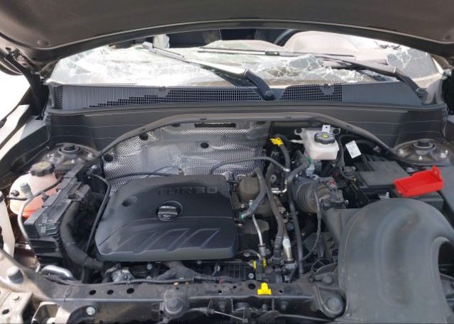 2022 CHEVROLET TRAILBLAZER(VIN: KL79MTSL6NB025997