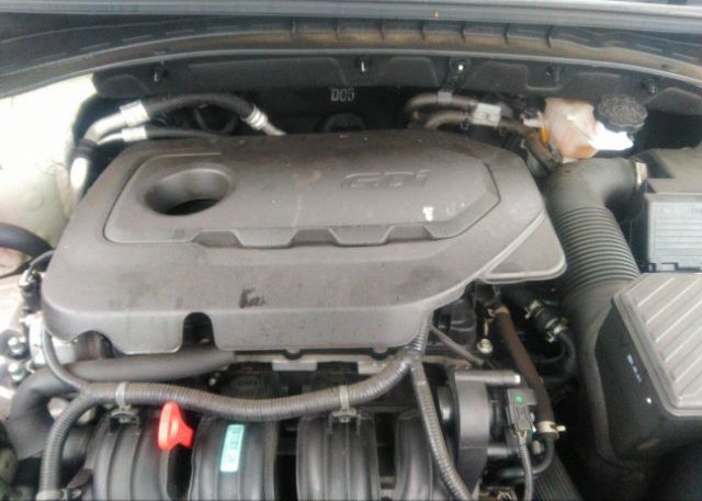 2022 KIA SPORTAGE(VIN: KNDPM3AC6N7968356