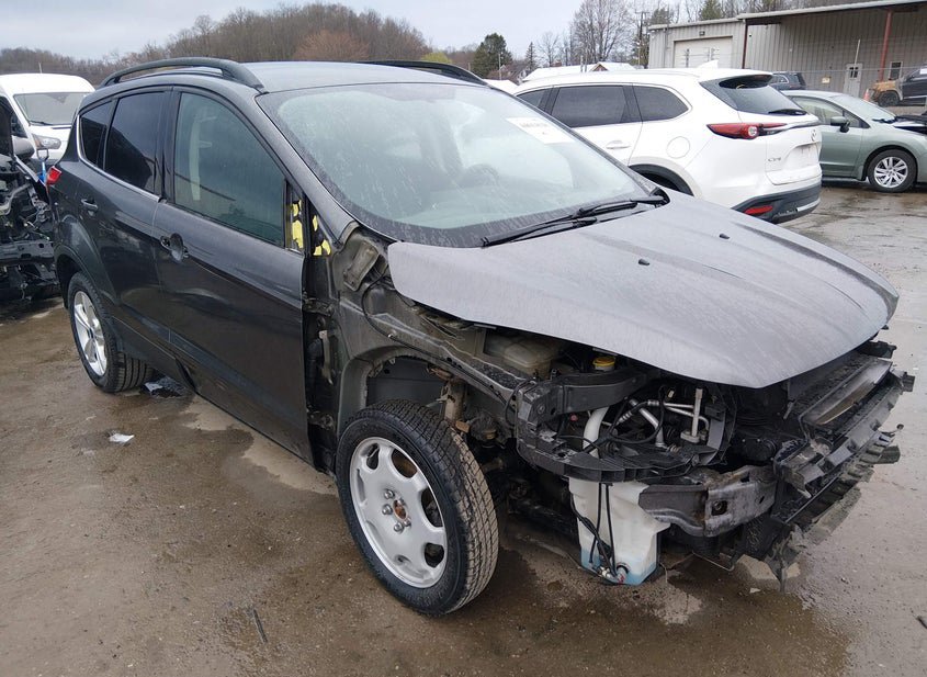 2016 Ford Escape 1.6L photo