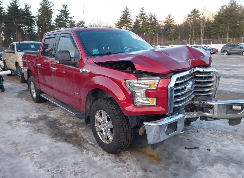2015 FORD F-150 XLT photo