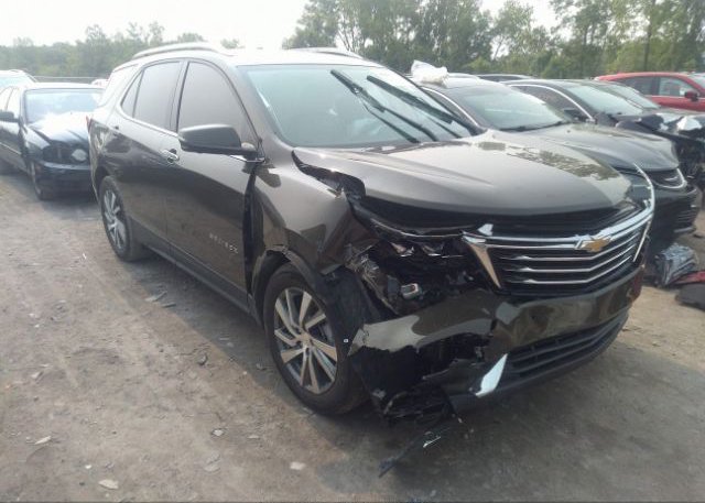2023 CHEVROLET EQUINOX (VIN: 3GNAXNEG8PL125206)
