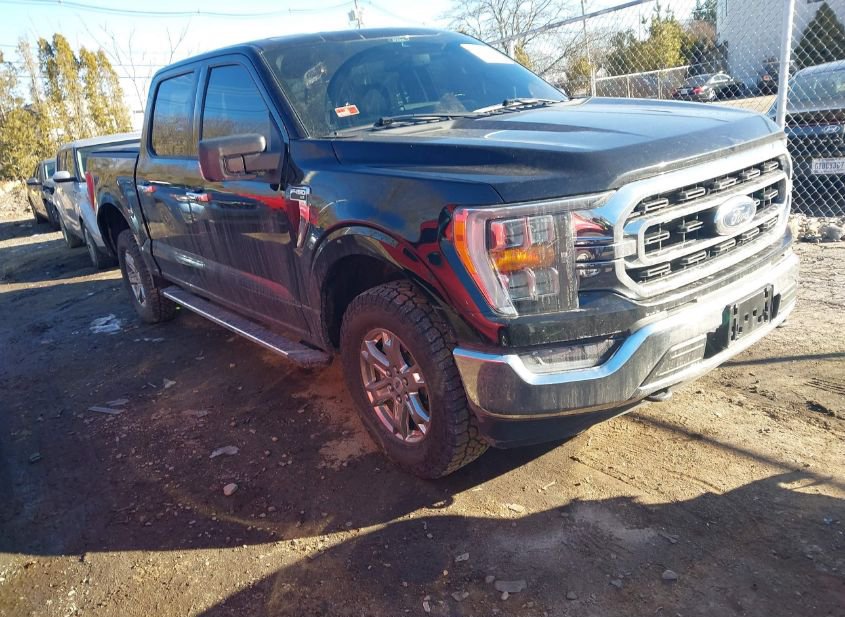 2022 FORD F-150 XLT photo