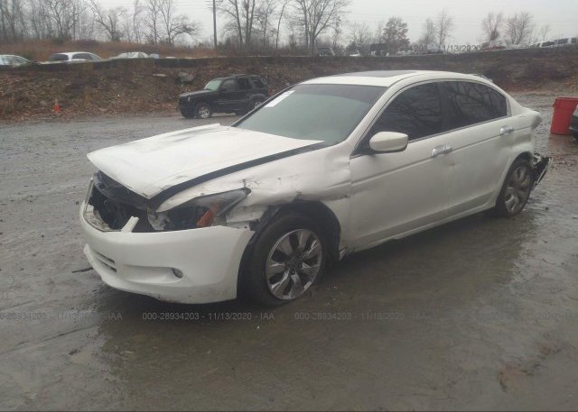 из сша 2010 HONDA ACCORD SDN 1HGCP3F85AA011712