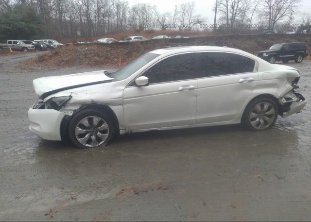 1HGCP3F85AA011712 2010 HONDA ACCORD SDN