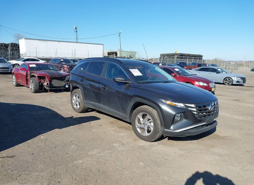 IAAI lot