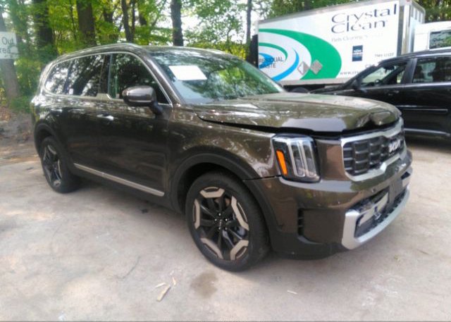 2023 KIA TELLURIDE (VIN: 5XYP6DGC5PG393728)