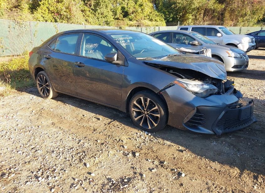 2018 TOYOTA COROLLA SE photo