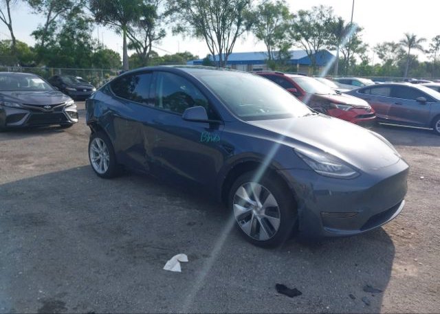 2023 TESLA MODEL Y (VIN: 7SAYGDEE0PA041783)