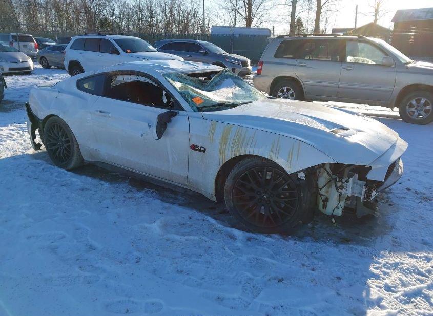2019 FORD MUSTANG GT photo