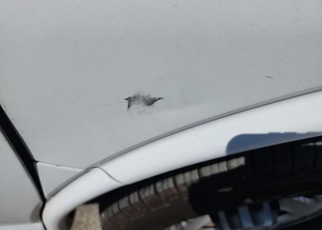 2021 CHEVROLET EXPRESS CARGO RWD 2500 REGULAR WHEE(VIN: 1GCWGAFP4M1309373