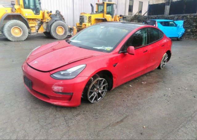 2021 TESLA MODEL 3(VIN: 5YJ3E1EB6MF974121