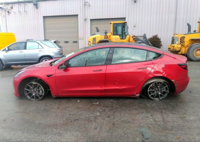 2021 TESLA MODEL 3(VIN: 5YJ3E1EB6MF974121