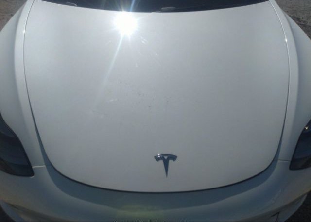 2022 TESLA MODEL 3(VIN: 5YJ3E1EB7NF174252