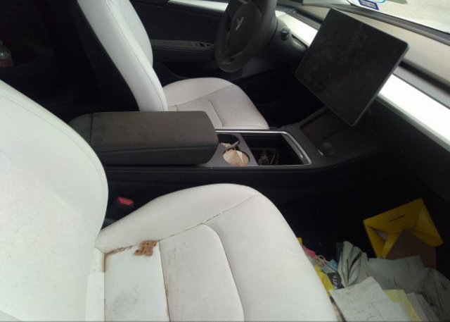 2022 TESLA MODEL 3(VIN: 5YJ3E1EB7NF174252