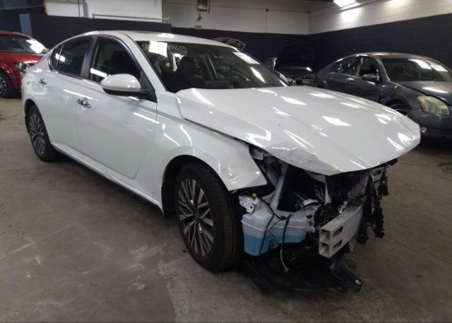 2023 NISSAN ALTIMA (VIN: 1N4BL4DV3PN309641)