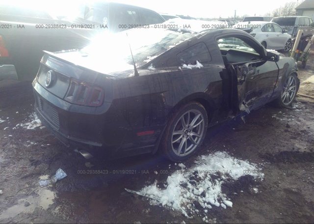 цена в сша 2013 FORD MUSTANG 1ZVBP8CF4D5218239
