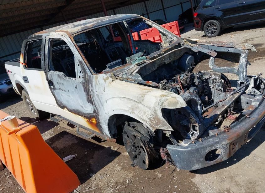 2010 FORD F-150 FX4/HARLEY-DAVIDSON/KING RANCH/LARIAT/PLATINUM/XL/XLT photo