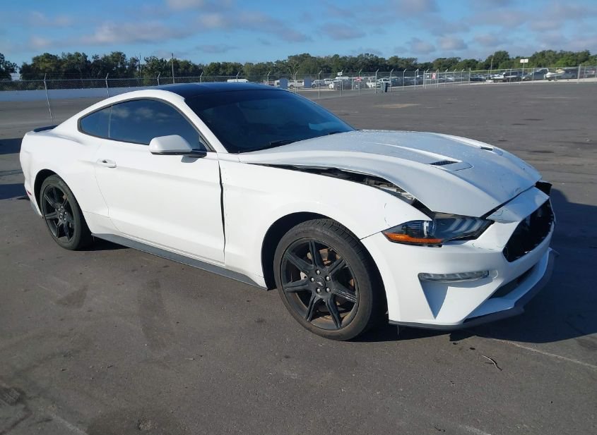 2019 FORD MUSTANG ECOBOOST photo