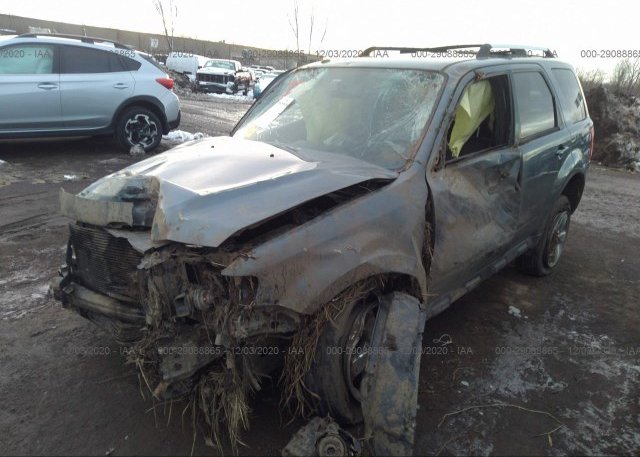 из сша 2010 FORD ESCAPE 1FMCU9EG5AKB21104