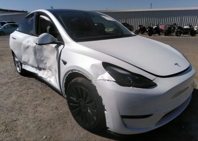 2023 TESLA MODEL Y (VIN: 7SAYGDEE1PF742755)