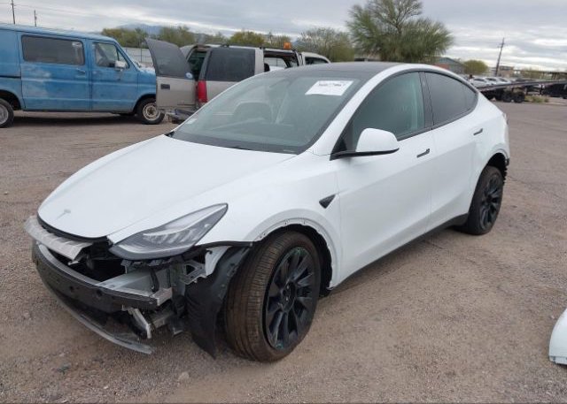 2023 TESLA MODEL Y(VIN: 7SAYGDEE8PA034418
