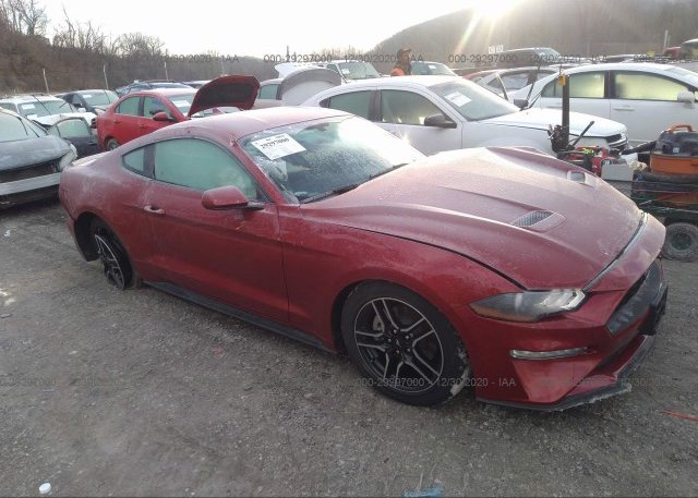 1FA6P8THXL5175505 2020 FORD MUSTANG