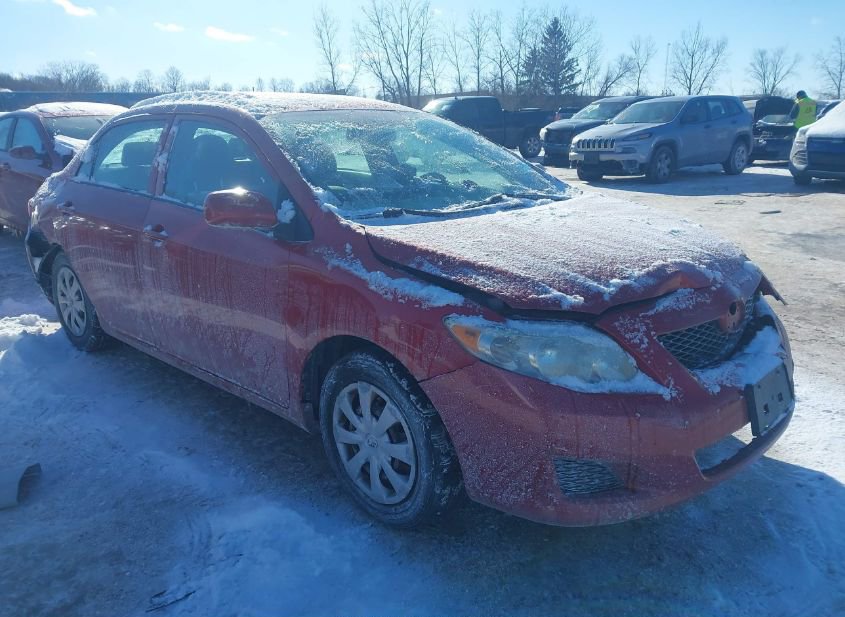 2010 TOYOTA COROLLA LE photo