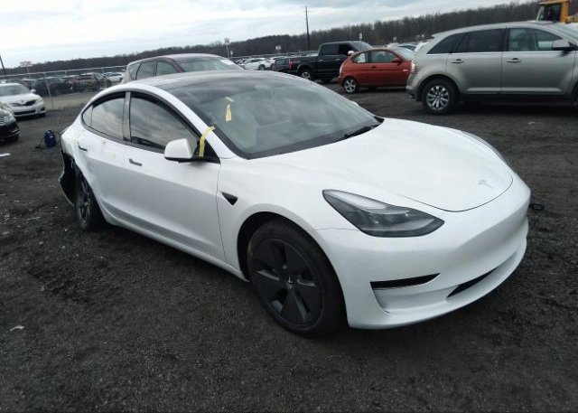 2023 TESLA MODEL 3 (VIN: 5YJ3E1EA1PF394691)