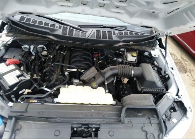 2021 FORD F-150(VIN: 1FTEW1C52MFC40736