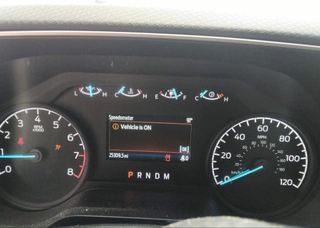 2021 FORD F-150(VIN: 1FTEW1C52MFC40736