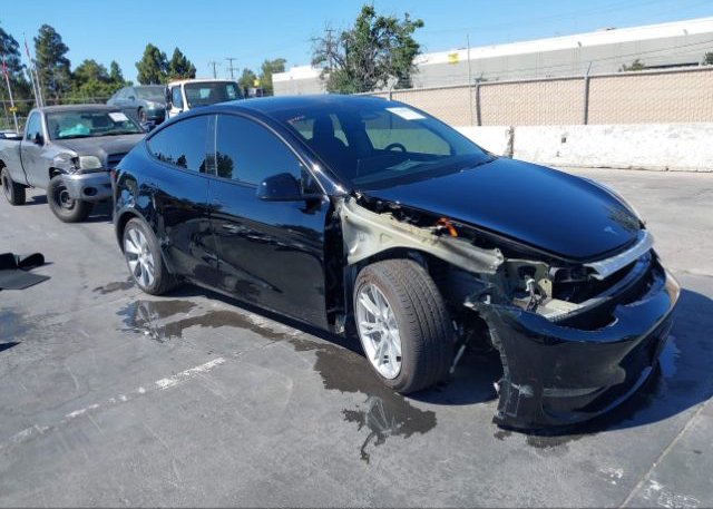2022 TESLA MODEL Y (VIN: 7SAYGDEE9NF567488)