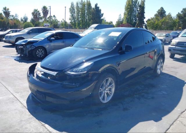 2022 TESLA MODEL Y(VIN: 7SAYGDEE9NF567488
