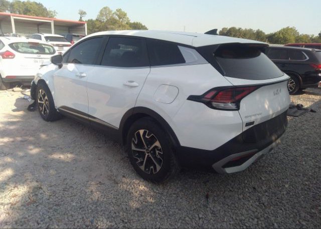 2023 KIA SPORTAGE(VIN: 5XYK33AF2PG097968