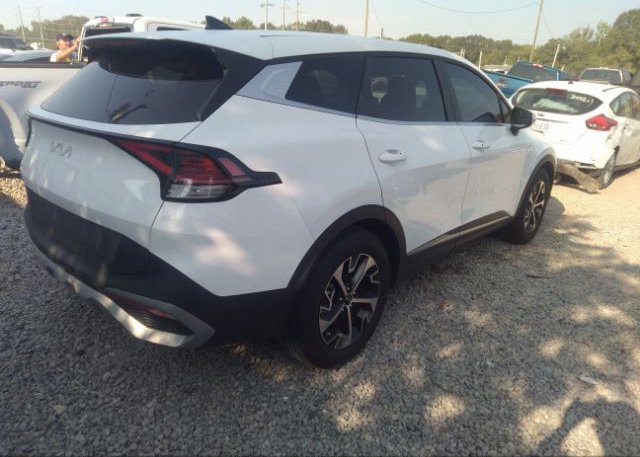 2023 KIA SPORTAGE(VIN: 5XYK33AF2PG097968