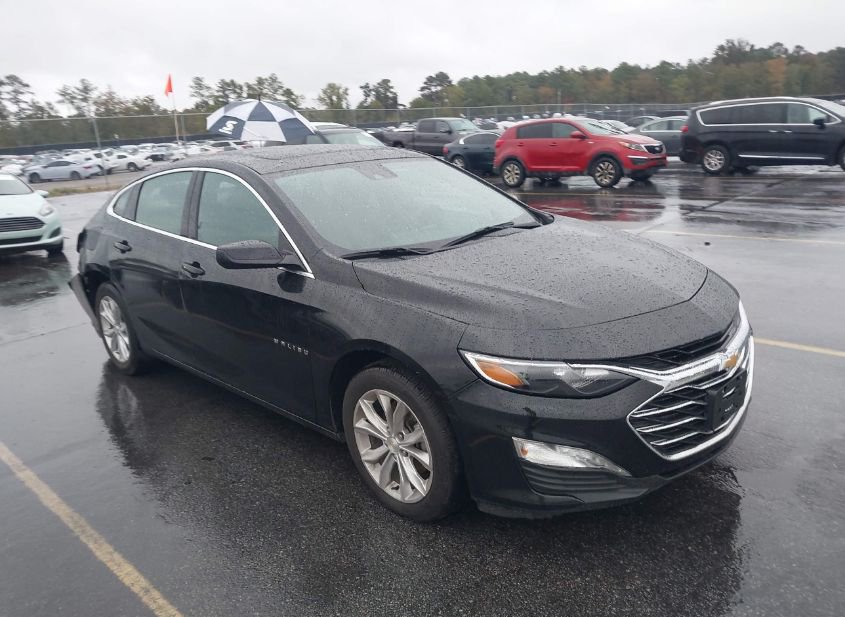 2023 CHEVROLET MALIBU FWD 1LT photo