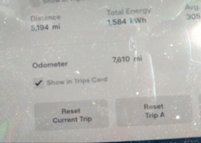 2023 TESLA MODEL Y(VIN: 7SAYGDEEXPA026868