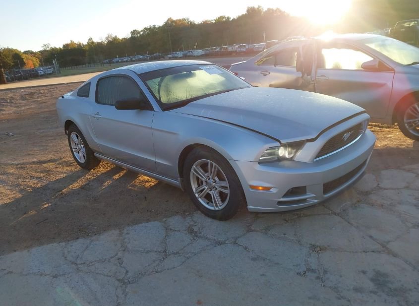 2013 FORD MUSTANG V6 photo