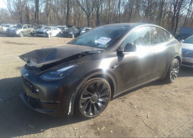 2022 TESLA MODEL Y(VIN: 7SAYGDEF4NF455318