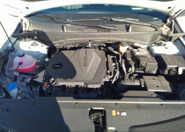 2023 KIA SPORTAGE(VIN: 5XYK7CAF8PG022325