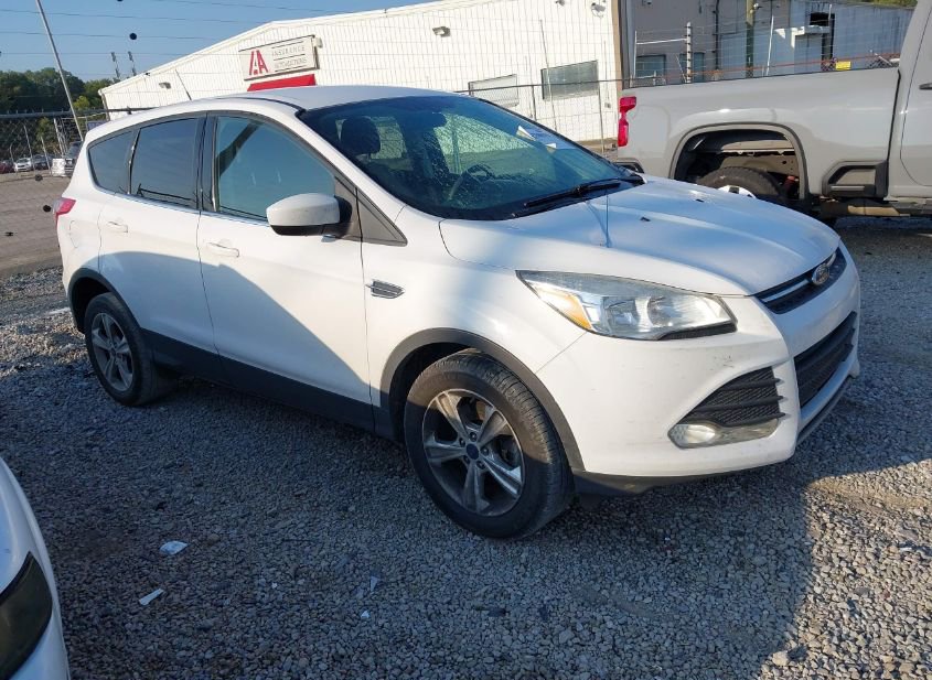 2014 FORD ESCAPE SE photo