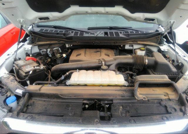2023 FORD F-150(VIN: 1FTEW1C89PKD23943