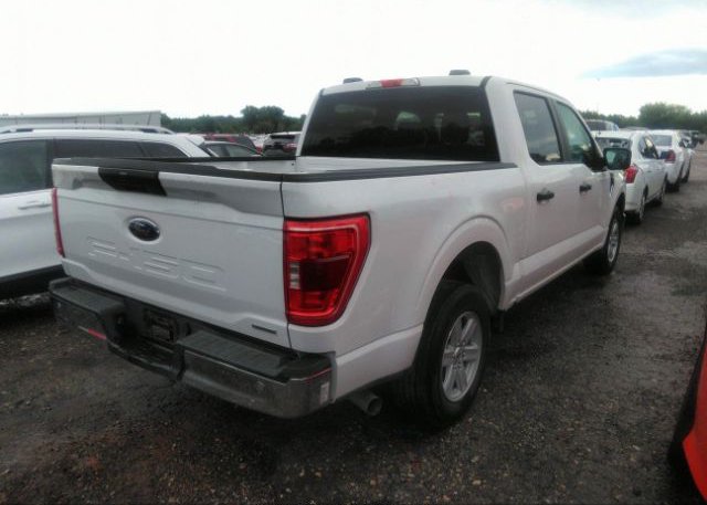 2023 FORD F-150(VIN: 1FTEW1C89PKD23943