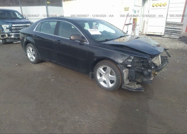 1G1ZB5E16BF206495 2011 CHEVROLET MALIBU
