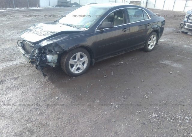 из сша 2011 CHEVROLET MALIBU 1G1ZB5E16BF206495