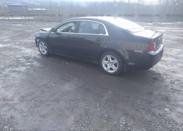 купить 2011 CHEVROLET MALIBU 1G1ZB5E16BF206495