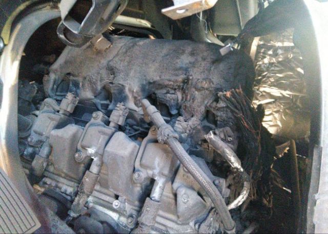2022 CHEVROLET EXPRESS CARGO VAN(VIN: 1GCWGAF76N1195412